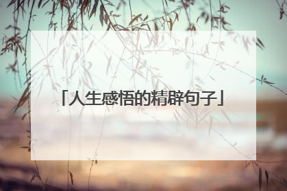 人生感悟的精辟句子