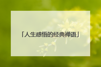 人生感悟的经典禅语