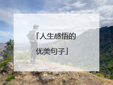 人生感悟的优美句子