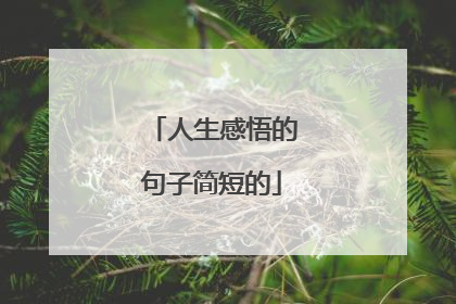人生感悟的句子简短的