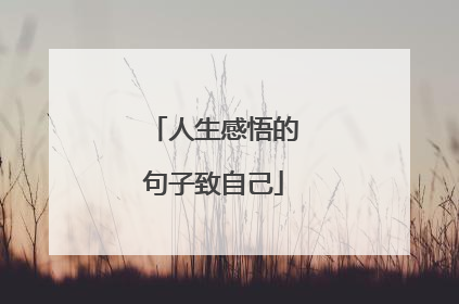 人生感悟的句子致自己