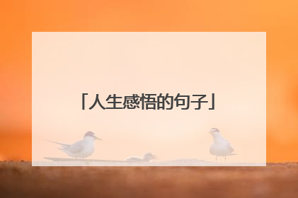 人生感悟的句子