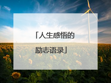 人生感悟的励志语录