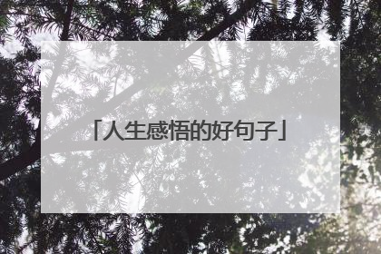 人生感悟的好句子