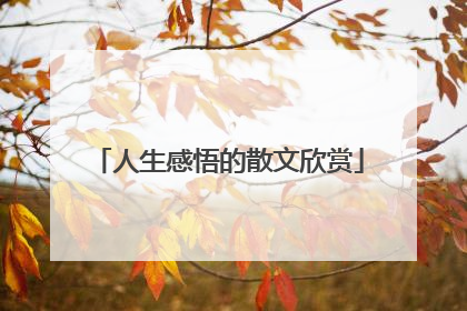 人生感悟的散文欣赏