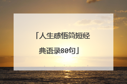 人生感悟简短经典语录80句