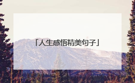 人生感悟精美句子