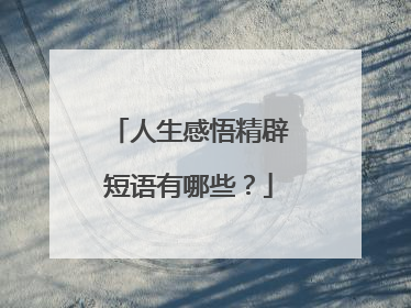 人生感悟精辟短语有哪些？