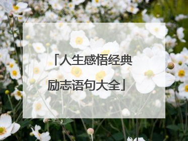 人生感悟经典励志语句大全