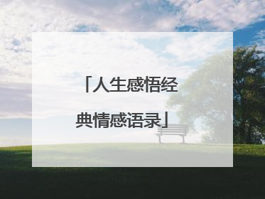 人生感悟经典情感语录