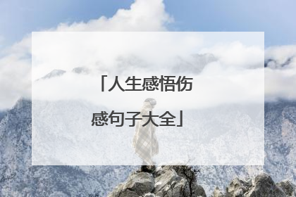 人生感悟伤感句子大全