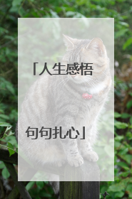 人生感悟句句扎心