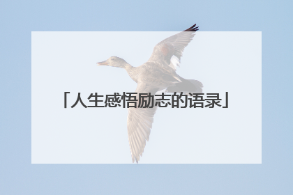 人生感悟励志的语录