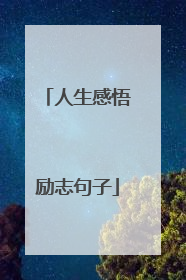 人生感悟励志句子
