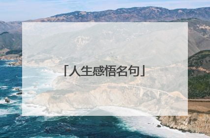 人生感悟名句