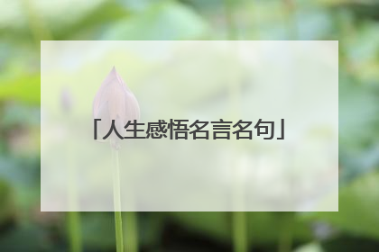 人生感悟名言名句