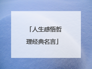 人生感悟哲理经典名言