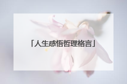 人生感悟哲理格言