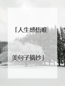 人生感悟唯美句子摘抄