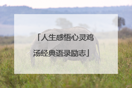 人生感悟心灵鸡汤经典语录励志