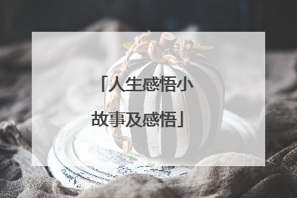 人生感悟小故事及感悟