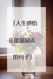 人生感悟正能量励志的句子