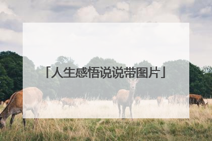 人生感悟说说带图片