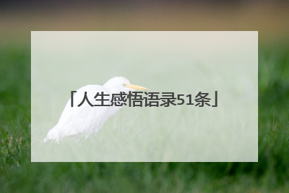人生感悟语录51条