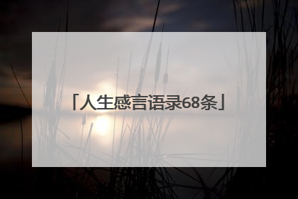 人生感言语录68条