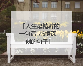 人生最精辟的一句话 感悟深刻的句子