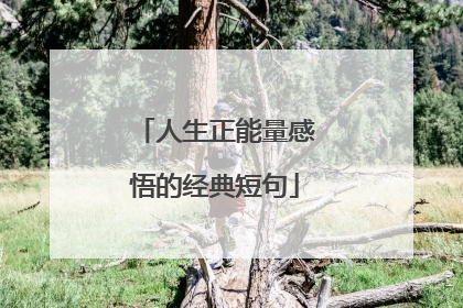 人生正能量感悟的经典短句