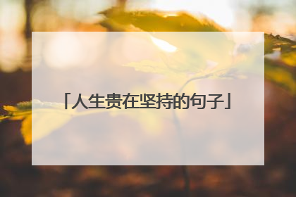 人生贵在坚持的句子
