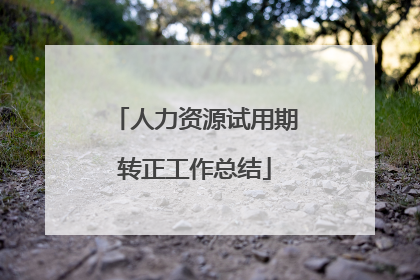人力资源试用期转正工作总结