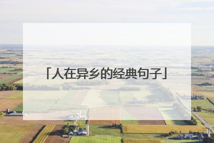 人在异乡的经典句子