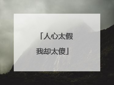 人心太假我却太傻