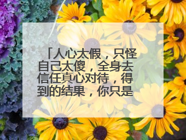 人心太假,只怪自己太傻,全身去信任真心对待,得到的结果,你只是一个备胎