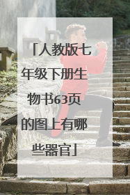 人教版七年级下册生物书63页的图上有哪些器官