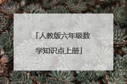 人教版六年级数学知识点上册