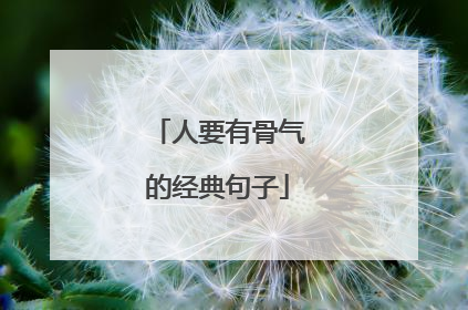 人要有骨气的经典句子