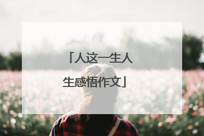 人这一生人生感悟作文