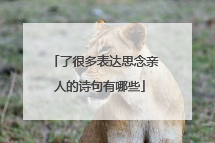 了很多表达思念亲人的诗句有哪些