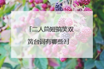 二人简短搞笑双簧台词有哪些?