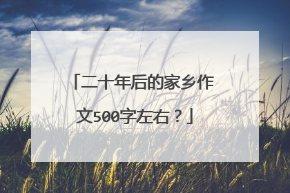 二十年后的家乡作文500字左右?