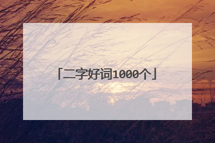 二字好词1000个