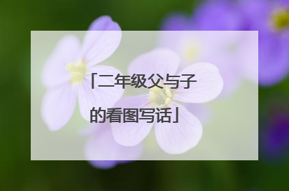 二年级父与子的看图写话