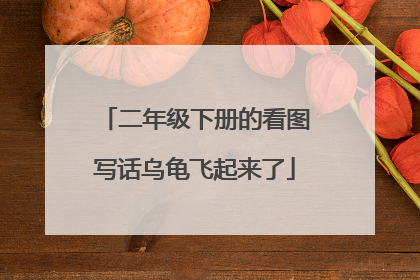 二年级下册的看图写话乌龟飞起来了