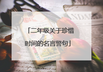 二年级关于珍惜时间的名言警句