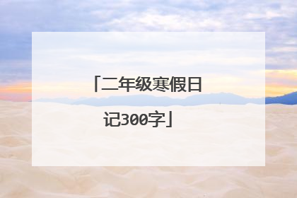 二年级寒假日记300字