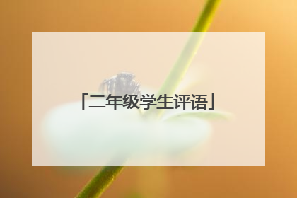 二年级学生评语