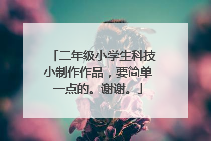 二年级小学生科技小制作作品,要简单一点的。谢谢。